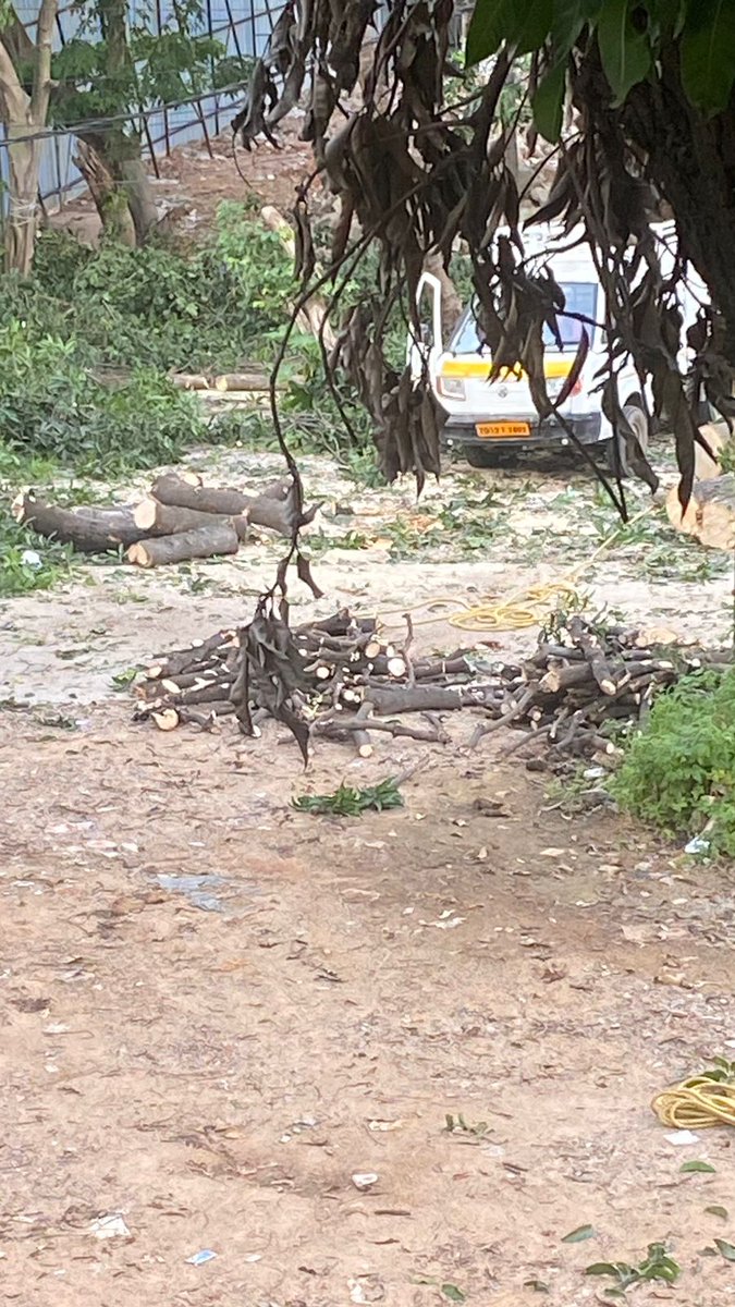 Vinay Vangala tweet media