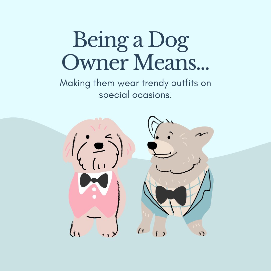 EastDallasVet's tweet image. Some dogs have a wardrobe that rivals their human&apos;s. If that’s your vibe, you know the struggle! 🐾👚 #DogFashion #PetStyle #EDVC