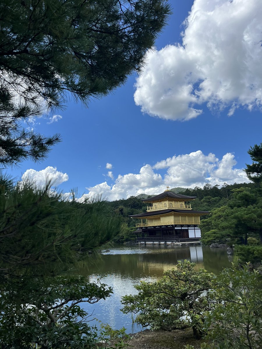 sort_crypto's tweet photo. excursion in kyoto https://t.co/1Fejj2iDL6