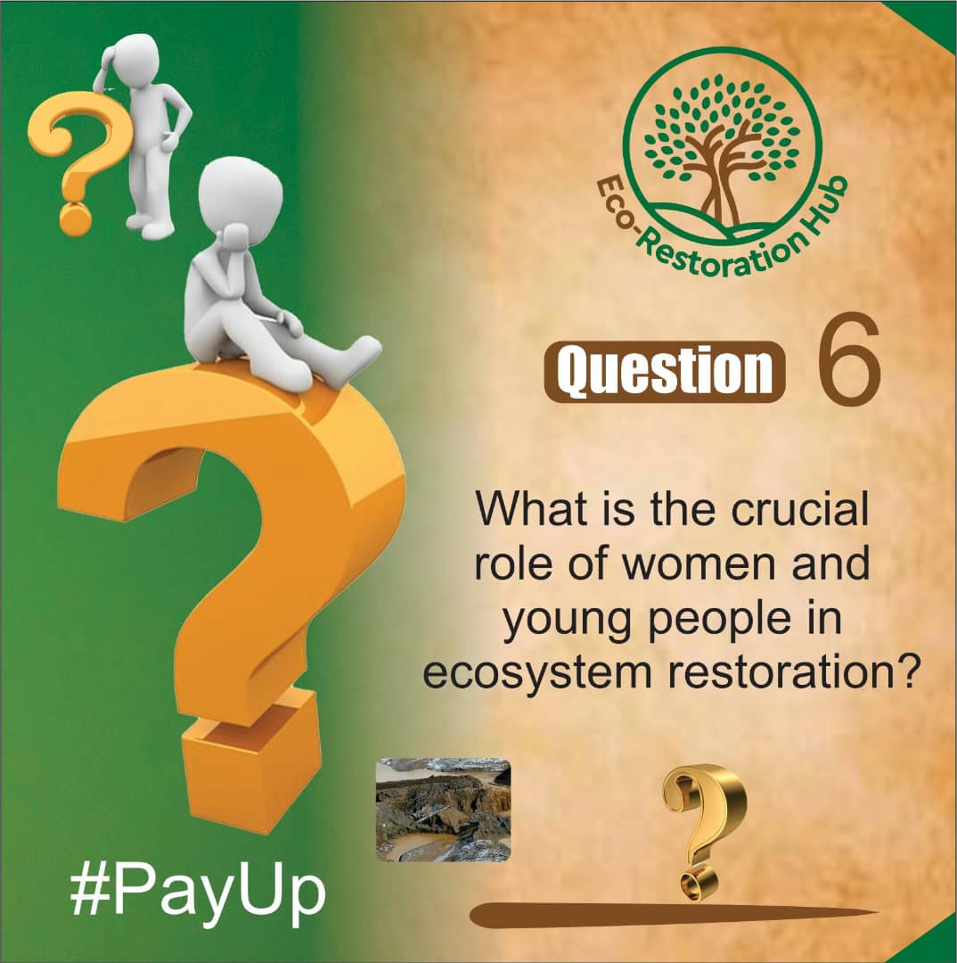 Eco-Restoration Hub tweet media