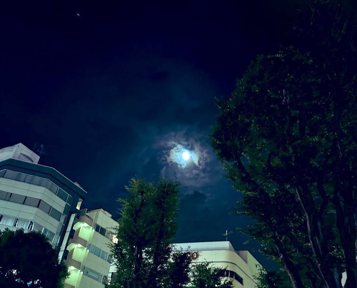 muumin_unu's tweet photo. LIVE終わって外でたら雨降ってるのに
ほんとうに月だけ顔を出してて
そんなことある！？！？ってなったよ😳😳😳
見に来てくれたんだねぇ☺️🌕✨️

#ASTRO
#ユンサナ
#中秋の名月 https://t.co/OcwicY2gTs