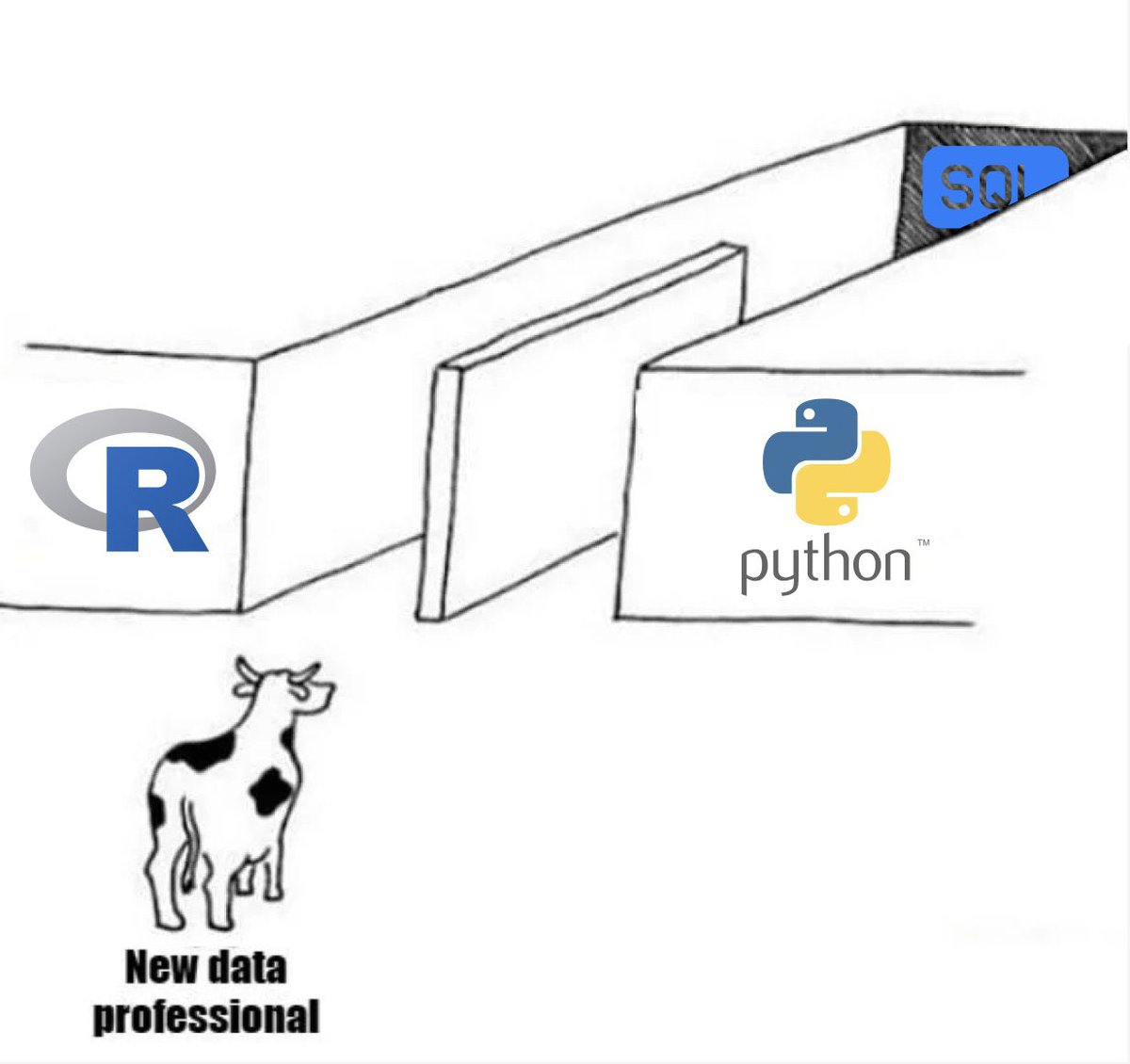 haro_ca_'s tweet image. gm