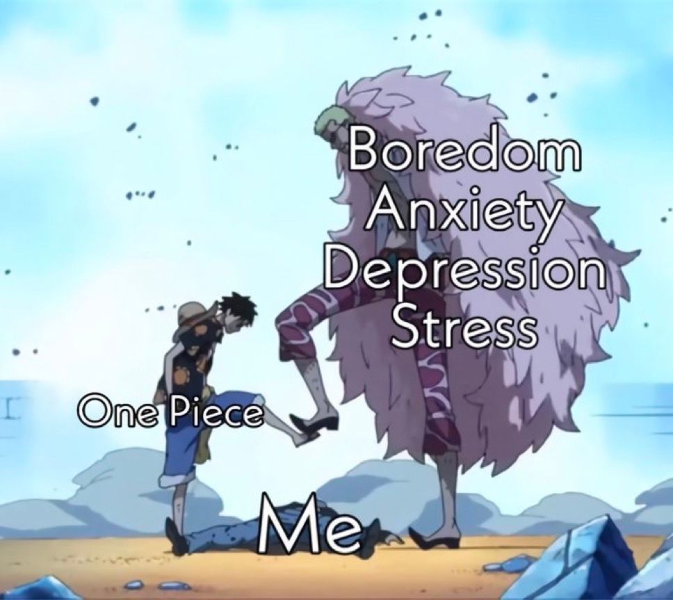 One Piece Daily (@opdaiiy) on Twitter photo 