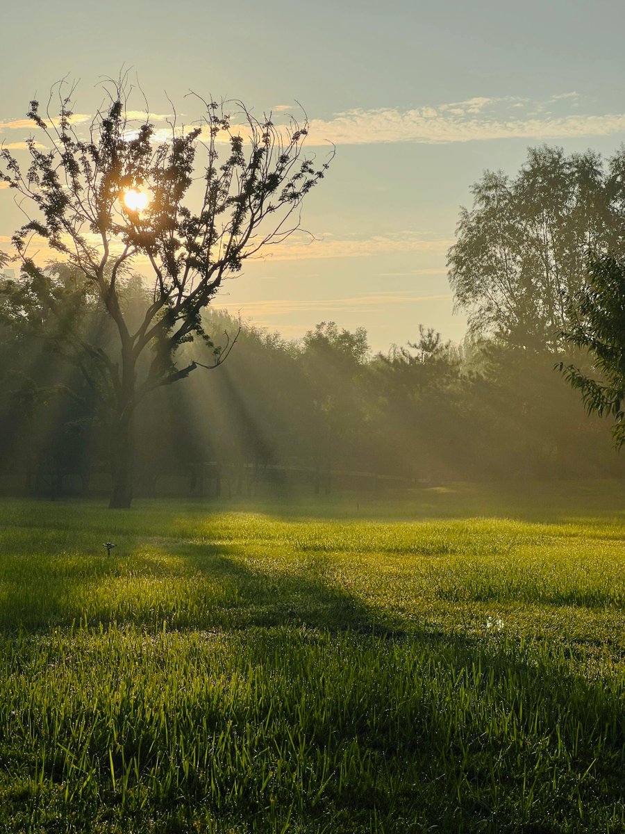 In the morning light, the breeze blows gently, may your day be filled with warmth and surprises