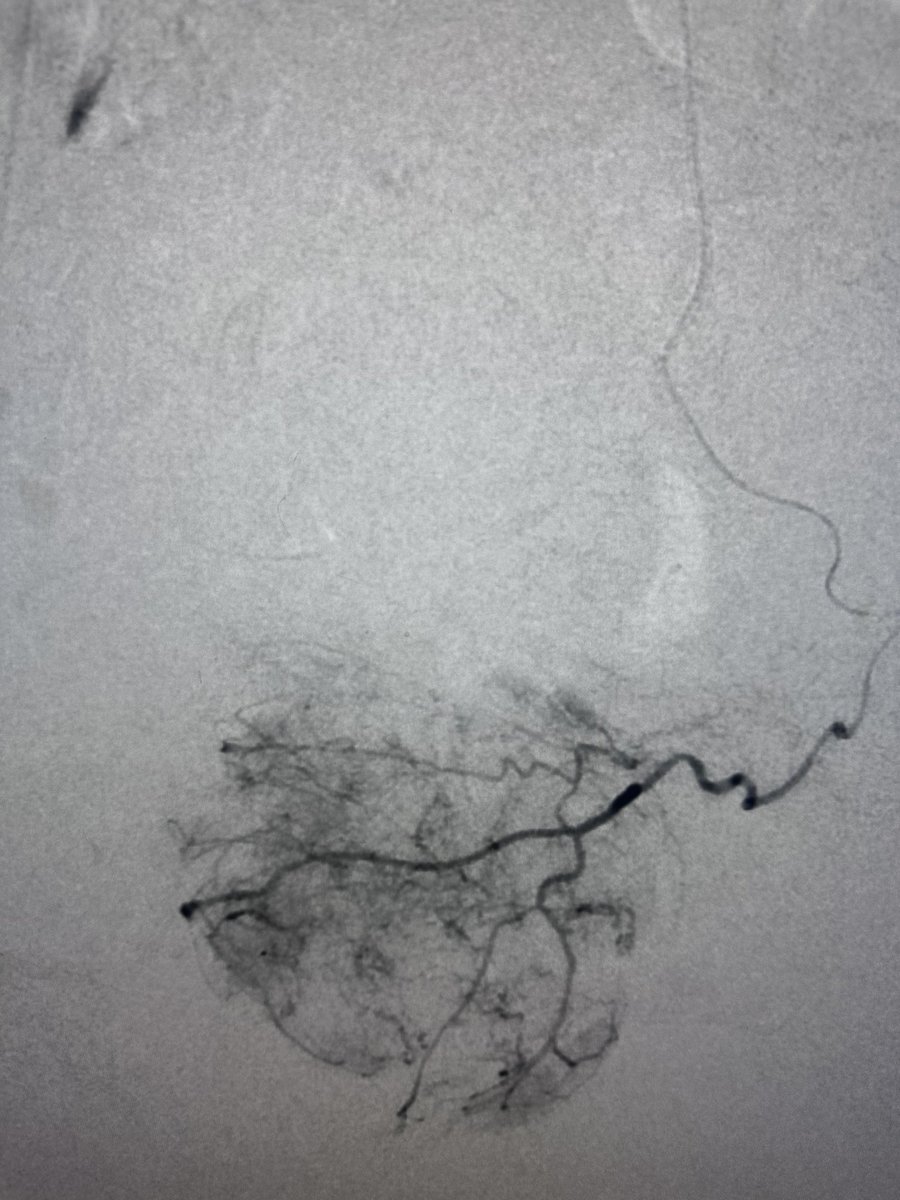 Austin Bourgeois tweet media