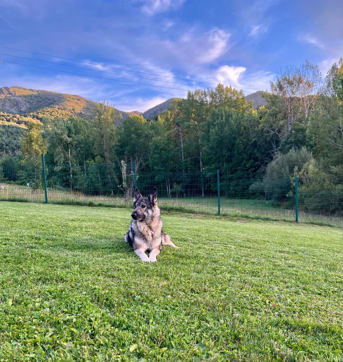 Luliirvalbu's tweet photo. Días de 🍷🍇🎳🍅🐺👧💛🌲🐾👣
#Horcadas
#leonesp 🦁❤ https://t.co/OTNdg46FCM