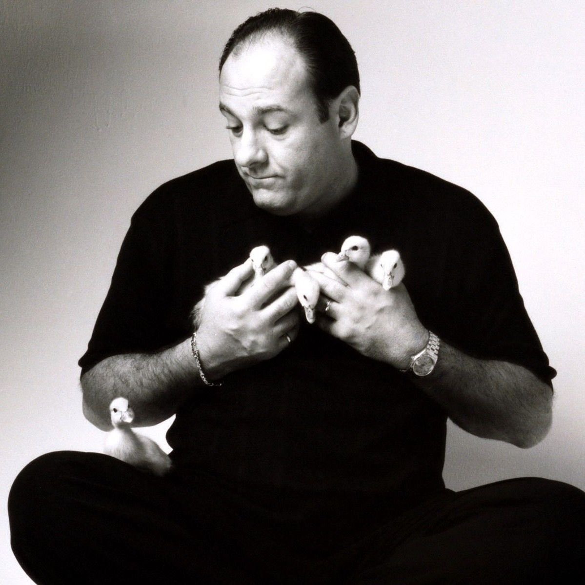 timeimmemorial_'s tweet image. happy birthday james gandolfini