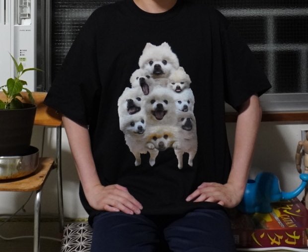 kegetsuso_book's tweet image. 編プロで働きつつ、シェア型書店にて「猿猿犬猫蟹(ウキウキわんにゃんクラブ)」という名前で新刊書籍を売り、毎週読書会を開いてます。フリマで熊になることもあります。ポメラニアンをキメラにしたキメラニアンTシャツも販売してます。出版関連イベントや出張読書会も開催します。ご依頼お待ちしてま