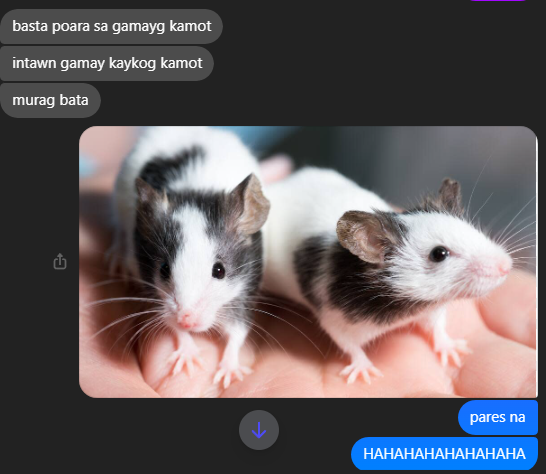 kcxzaa's tweet photo. HAHAHAHAAHHAHAHAHAAHHAHAHAHAAHHAHAHAHAAHHAHAHAHAAHHAHAHAHAAHHAHAHAHAAHHAHAHAHAAHHAHAHAHAAHHAHAHAHAAHHAHAHAHAAHHAHAHAHAAH YAWA https://t.co/wSehvEXwWk