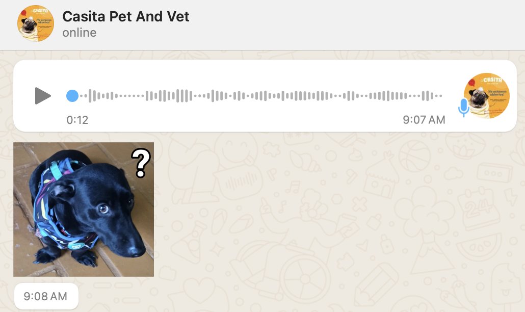 Que su veterinario haga stickers de mi perro mejoró 500% mi día