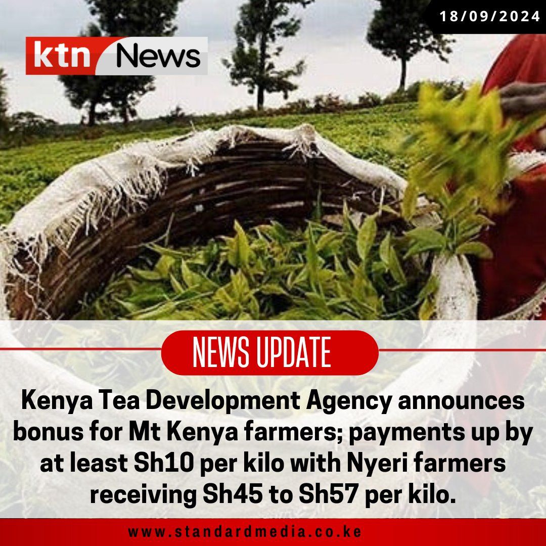 Benson_Mwiti_25's tweet photo. Thanks to Gachagua’s leadership, Mt. Kenya farmers are earning between Ksh. 45 and Ksh. 57 per kilo, a major improvement in their income. #RigathiOnAssignment https://t.co/1S1Asg7s3s
