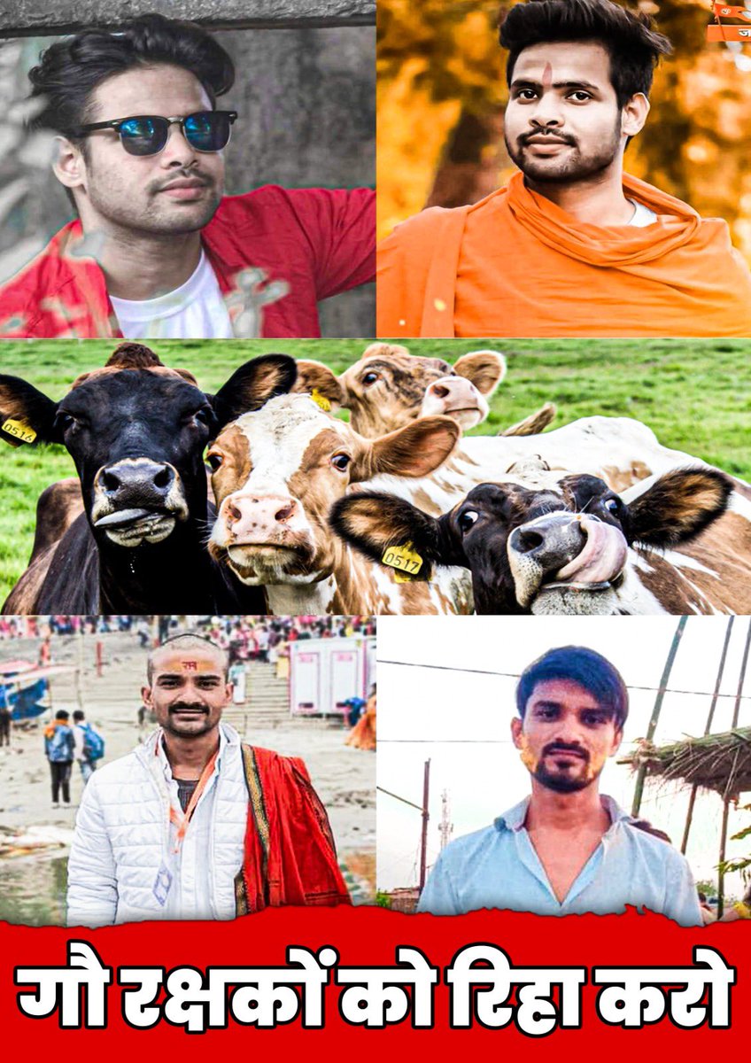 atsshow7's tweet photo. विपक्षी नेता फुलवारी के विधायक ने बीजेपी के साथ ग़ज़ब खेला अब बजरंग दल सहित बिहार के 25 बड़े हिंदू संगठन ही बिहार बीजेपी के विरोध के खड़े होने को उतारू है ।
#ReleaseAbhishekRaja 
देश तब बर्बाद होता है जब सिस्टम में बैठे लोग अपराधियों के संरक्षक बन जाये ।
गौ तस्करी संवैधानि��� अपराध बस कहने को रह गया है । इनको रोकने का प्रयास किया तो अभिषेक राजा और उनके जैसे 17 बजरंग दल के कार्यकर्ता को जैसे जेल ��ेजा वैसे आपको भी भेजा जा सकता है ।
बीजेपी सत्ता में है और बजरंग दल के कार्यकर्ता जेल है ।
