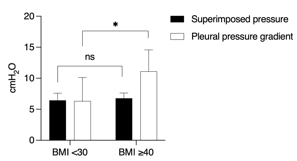 Stefano Spina tweet media
