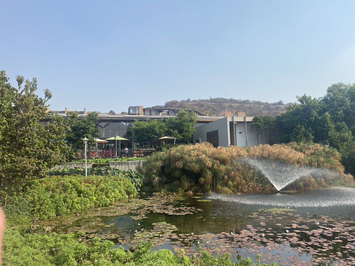 Re-worlding Reproduction Conference tweet media