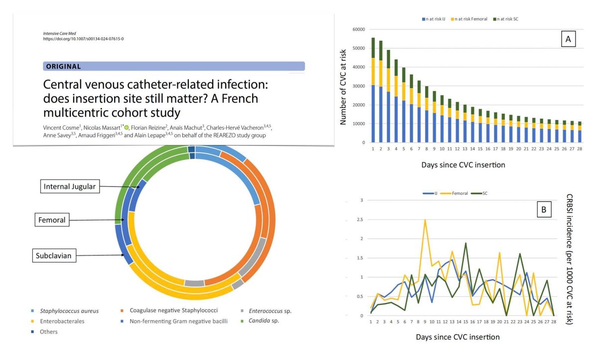 CVC-related infection
🔬 &gt;55K CVCs sent for tip culture
🧫 low CRBSI: &lt;l1/1000 CVC days: 0.7 IJ site, 0.7 FV, 0.6 SV
🧫 no differences of CRBSI incidence between insertion sites
🧫 mostly coagulase-negative Staphylococci 27.9% &amp; Enterobacterales 27.5%
🔓 rdcu.be/dUi1c
