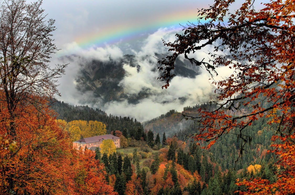 Maximum Exposure tweet media