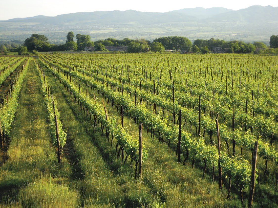 Maximum Exposure tweet media