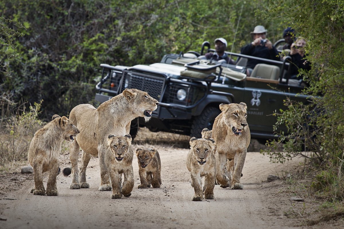 Around Africa in 65 days... amazing customized trip by <a href="/kerdowneyafrica/">Ker & Downey Africa</a>, get the full PR and learn about the unlikely experiences and countries clients can enjoy. #africasafari #luxurysafari #traveldestination - #PRrequest 
<a href="/journo_request/">#JournoRequest</a>