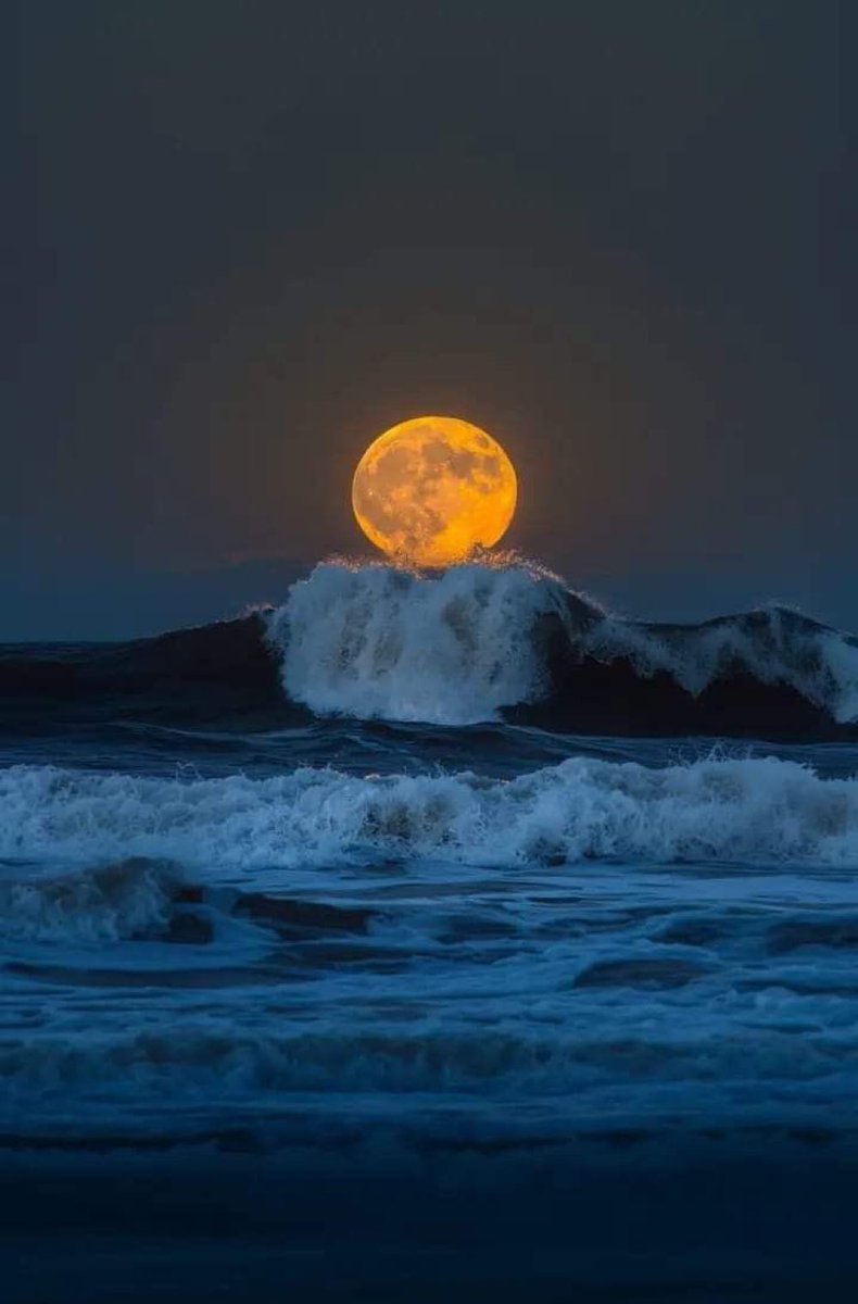 تسكُن السّعـادة فـي مكانيْن : 
قلبٌ قـانِع بالعَطـاء ، 
و نفس مُطمئنَّة بالقَضاء …🌷

  #رشة_عطر_للدعم 
#اسطول_زعماء_تويتر