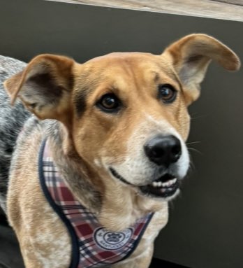 Sophie Vershbow tweet media