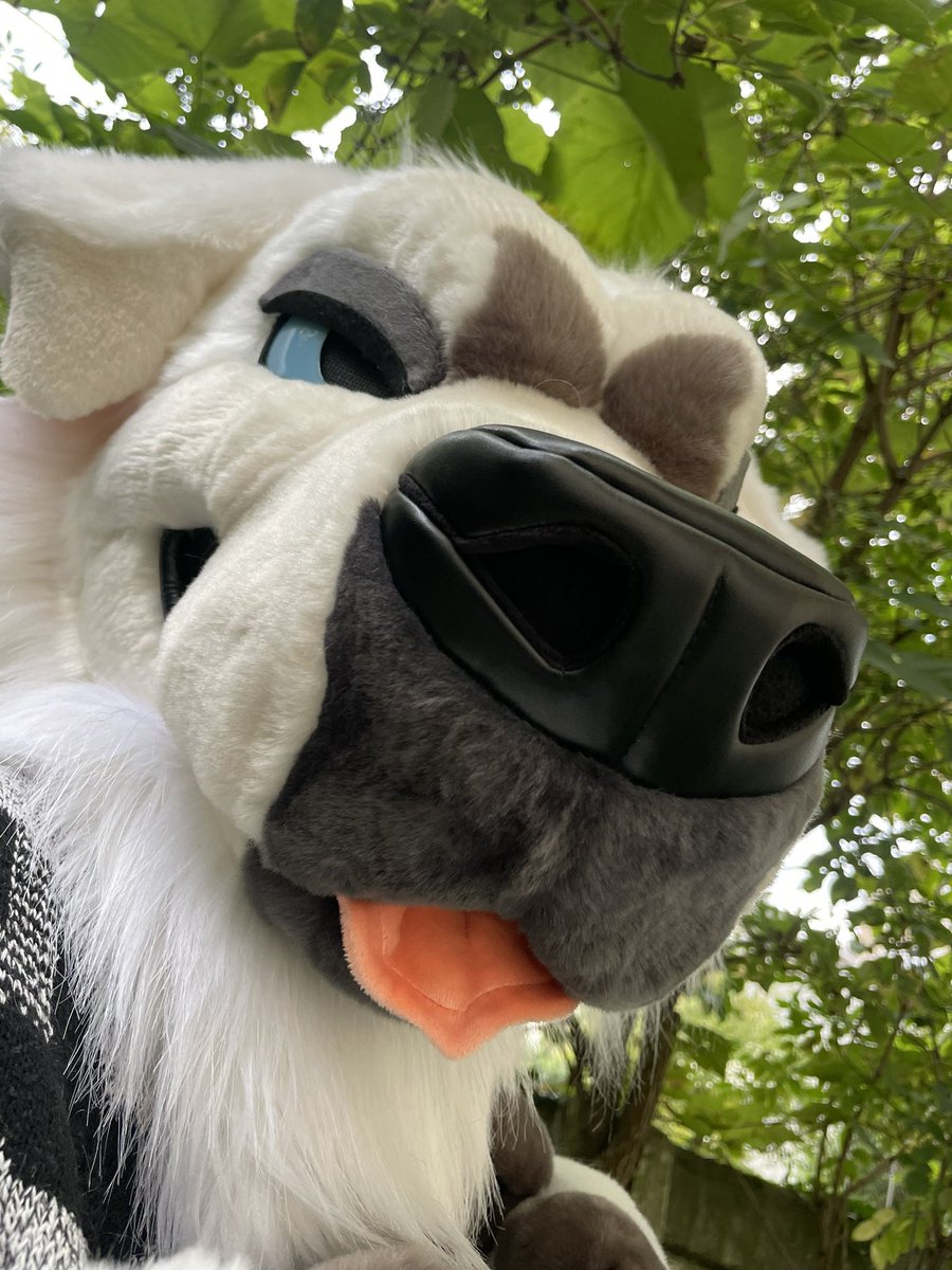 Woof woof ❤️‍🔥