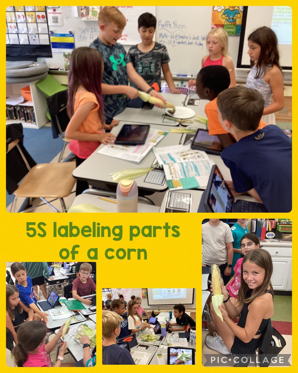 Lauren Snyder tweet media