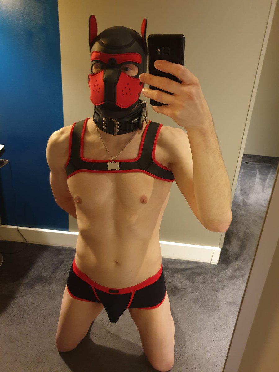 Puppy just before going to Folsom streetfair. Very happy puppy. And very obedient puppy, because my handler insisted on the shock collar. 😅😅