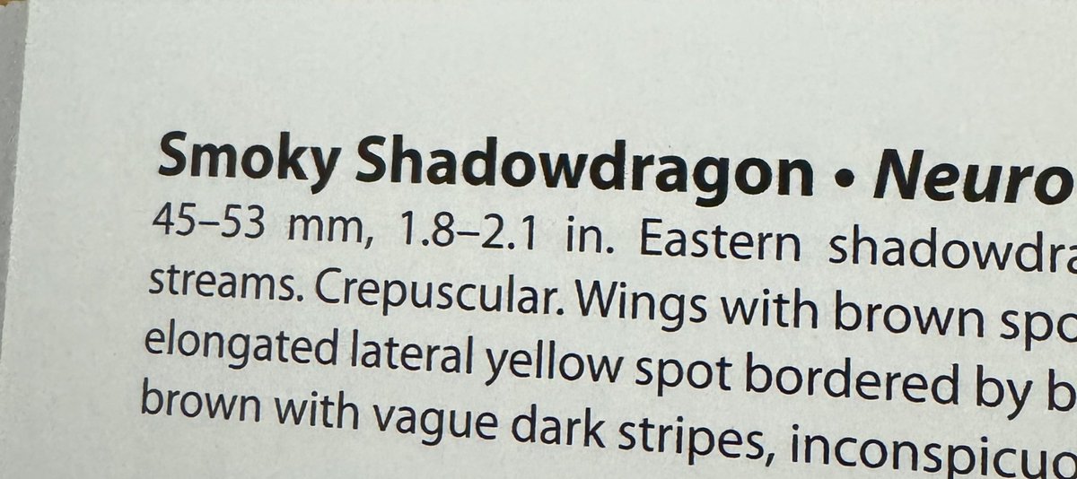 The Birdist tweet media