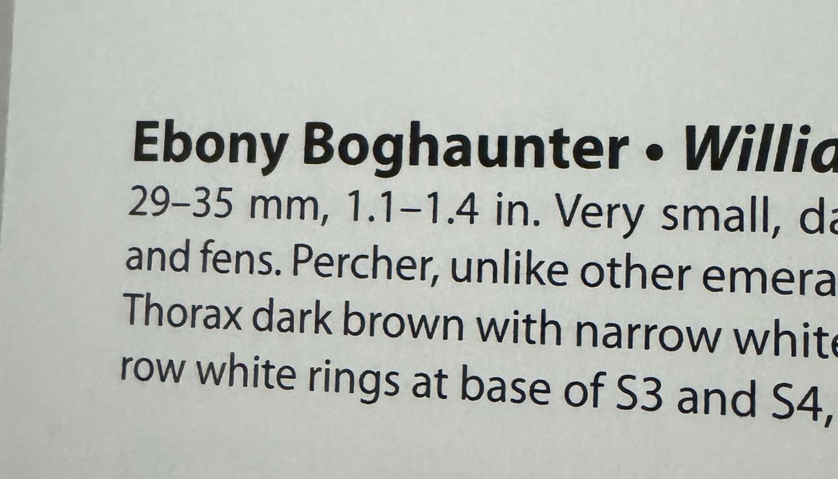 The Birdist tweet media