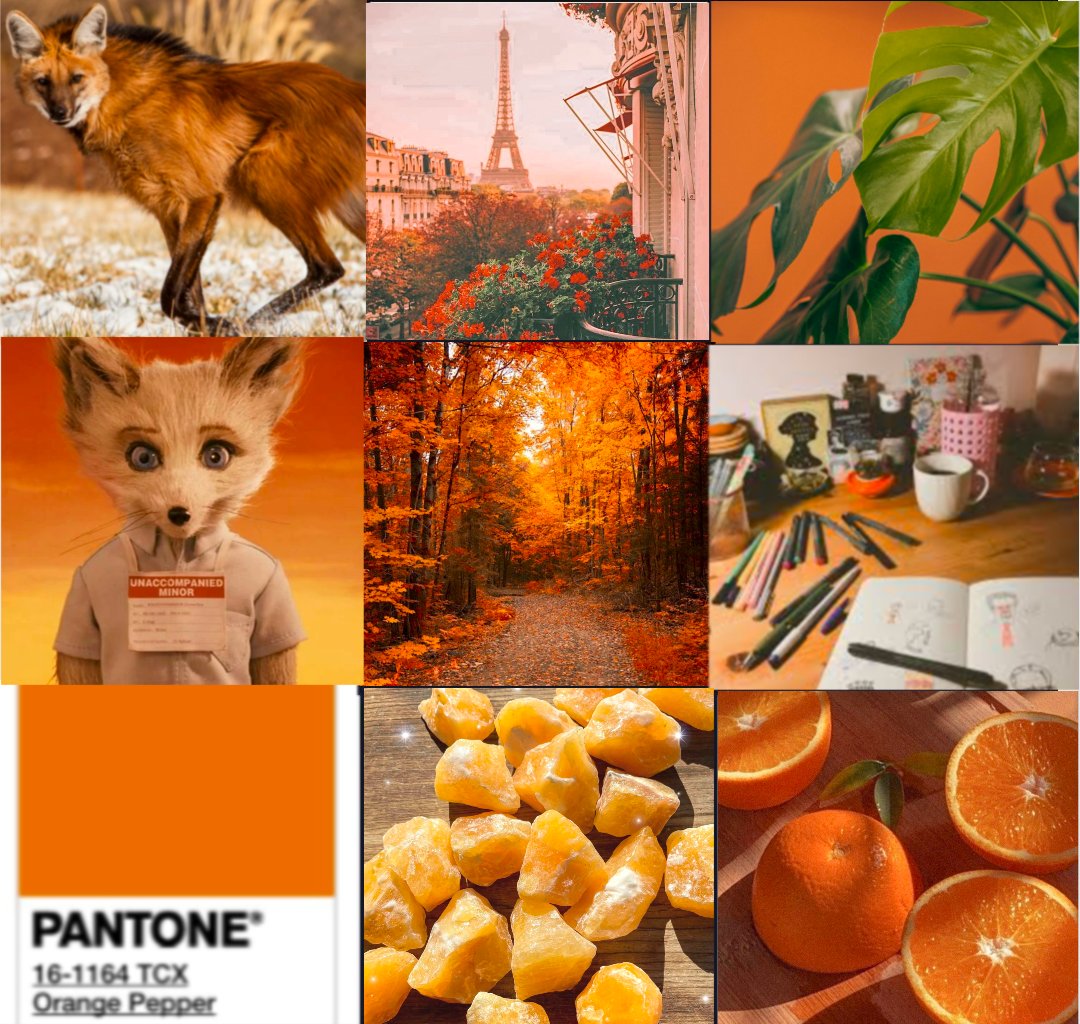 katteriix's tweet photo. @COOLGAMER2k My friend has an awesome maned wolf fursona named Djinger that's very orange and brown (aka his fav colour palette ever that i've drawn a bunch), if that does tempt u ? :0 https://t.co/AO39cWRGKP
