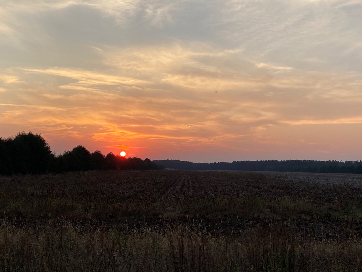 Dr Elizabeth Chapman (@lizch) on Twitter photo Finding headspace…
Entering the difficult phase of marathon training, tapering.
Fidgety legs & a days on excel-this was a release.
<a href="/berlinmarathonE/">BMW BERLIN-MARATHON</a> #marathon #planning #tapering #seenonmyrun #running #brandenburg #laufen #autummn #herbstlauf #herbst Finding headspace…
Entering the difficult phase of marathon training, tapering.
Fidgety legs & a days on excel-this was a release.
<a href="/berlinmarathonE/">BMW BERLIN-MARATHON</a> #marathon #planning #tapering #seenonmyrun #running #brandenburg #laufen #autummn #herbstlauf #herbst