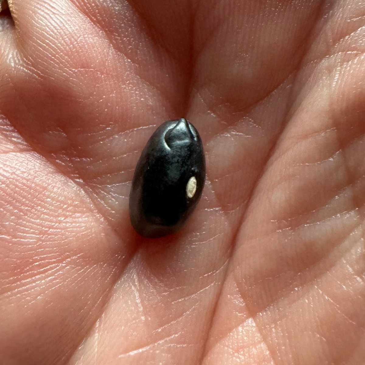 Jon Martija tweet media