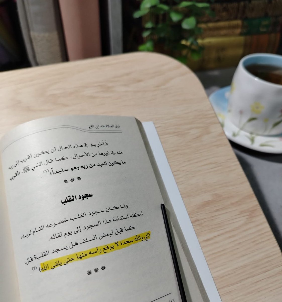 دَان tweet media