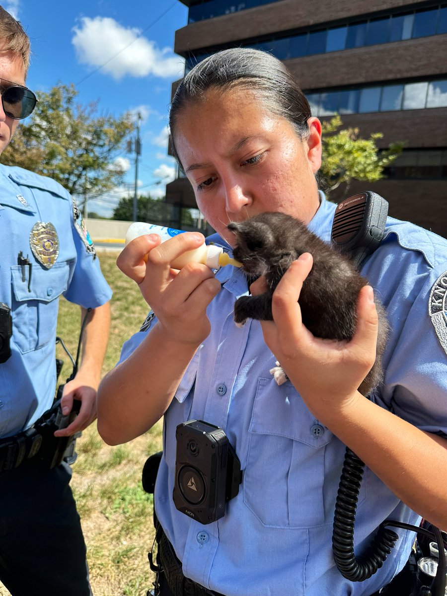 Knoxville_PD's tweet photo. Great job by our Cadets, who worked together as a team this afternoon to rescue four kittens that were trapped in a storm drain at the Public Safety Complex. They also purchased cat formula and food to help nourish the kittens after they were successfully rescued. https://t.co/IJlfjwfLx2