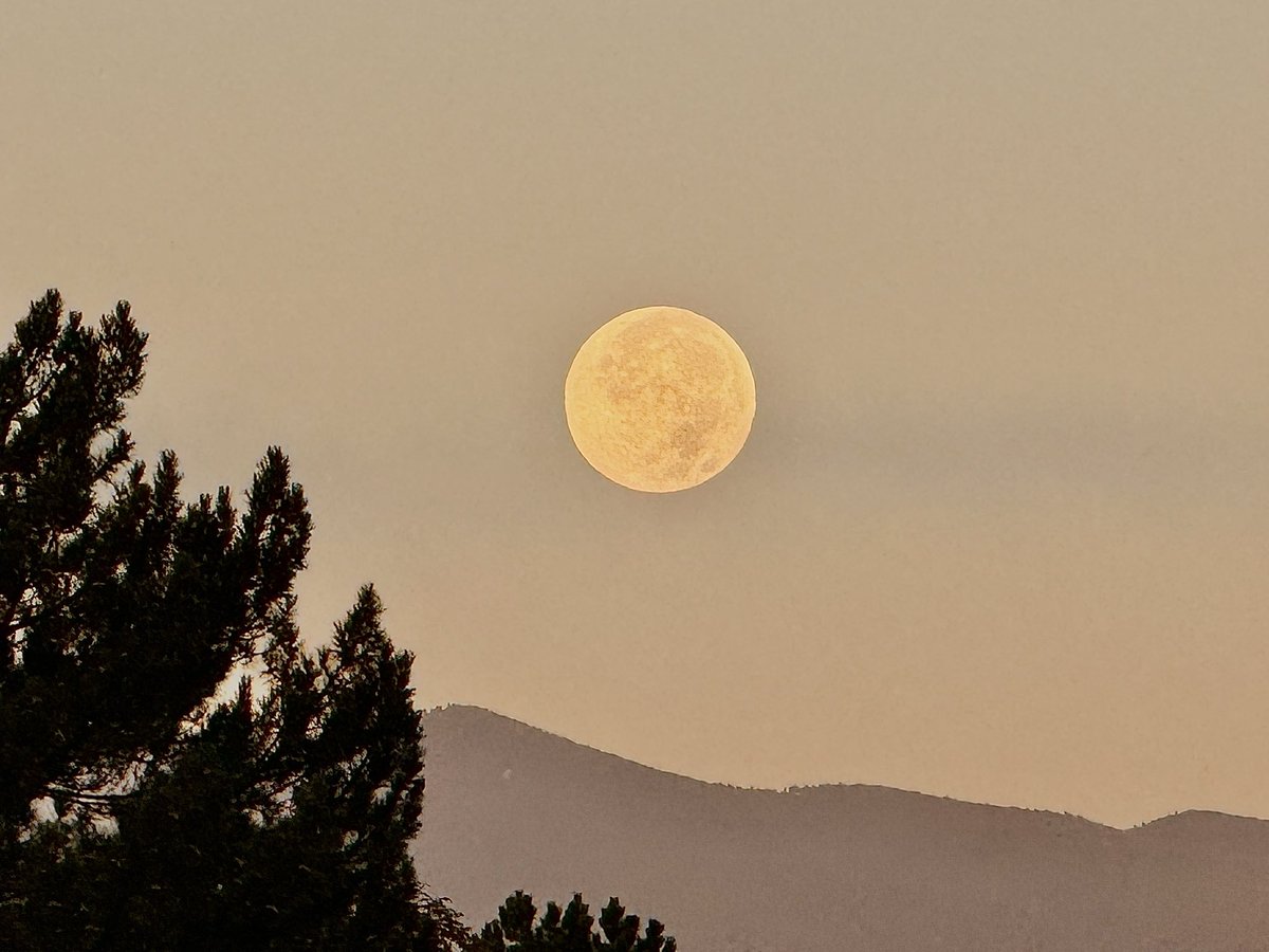Supermoon setting over the Rockies this morning! #supermoon #rockiesmountains #cowx #colorado