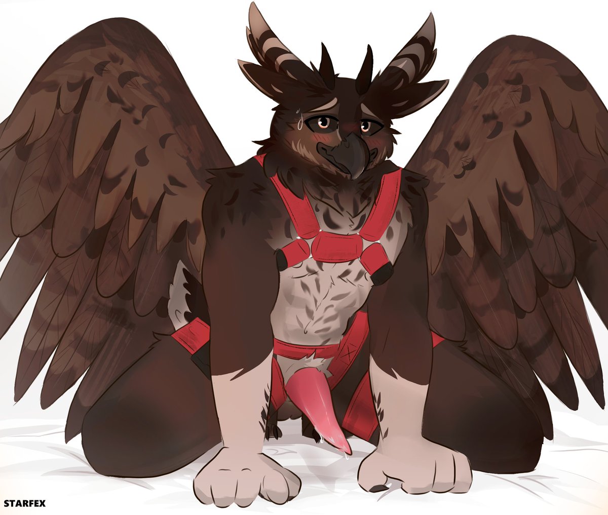 fennuts's tweet image. A very embarrassed owl &amp;gt;w&amp;gt;