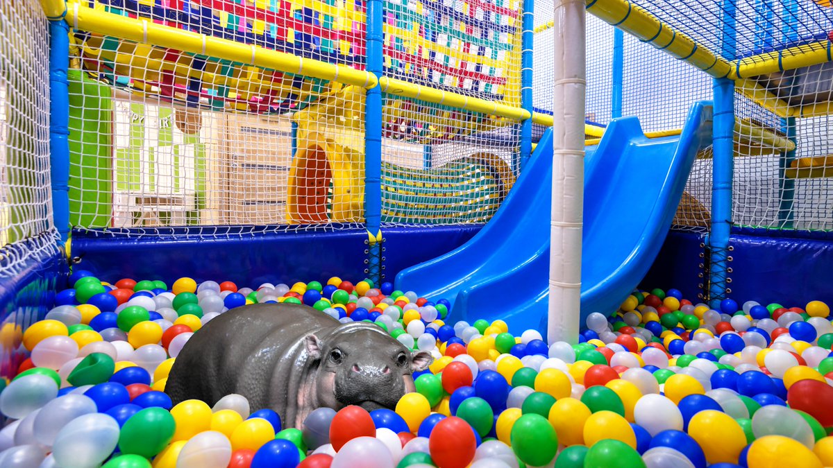 what would u do in this situation