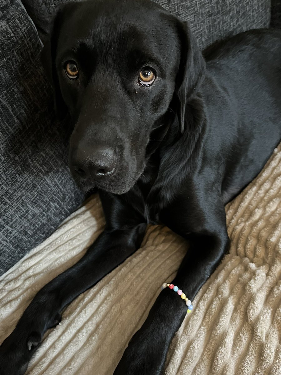 Made a friendship bracelet for my bff.