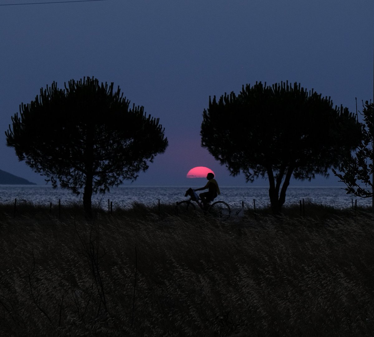 Temmuz ‘24
.
📷Fujifilm X-T30 / 16-80mm
🔍Lightroom
.
#geyikli #günbatımı #lightroom #fujifilm #xt30 #1680mm #photography #fuji #xseries #fujifilmxt #xt #photooftheday #ig #fujixt #photo #filmphotography #photographer #fujinon #ghan87 #gökhanbitgül