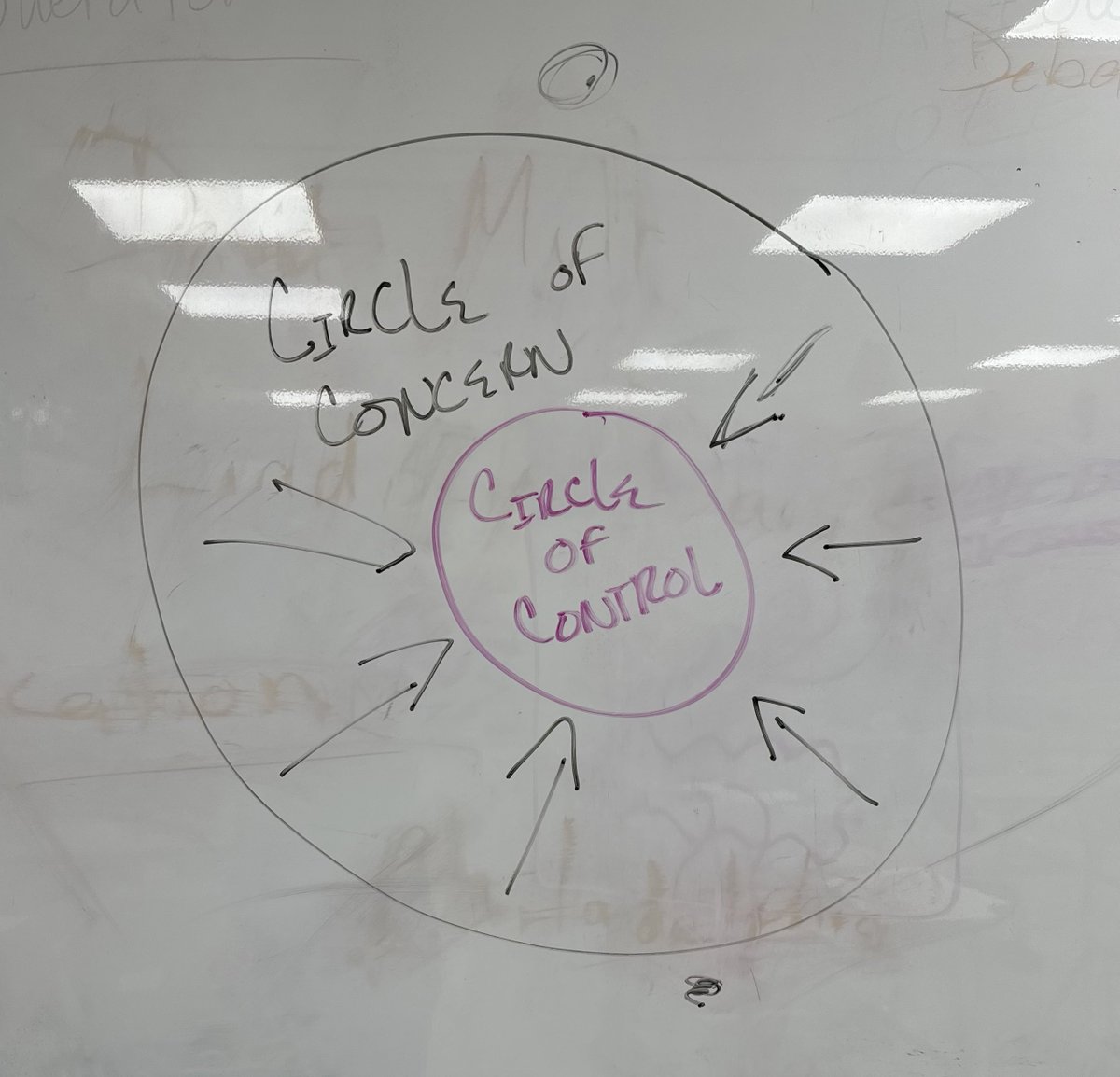 Mike Lucchesi tweet media