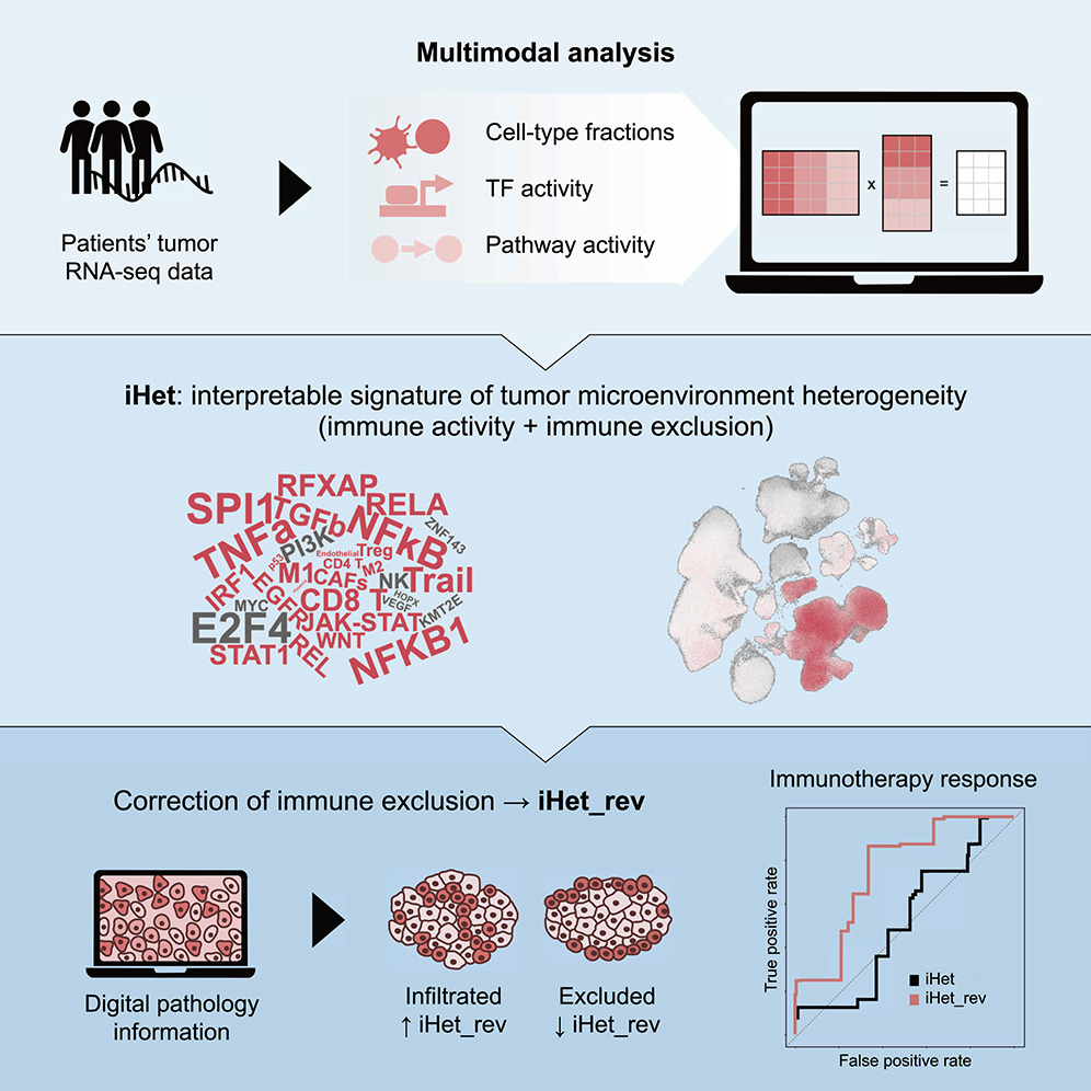 Francesca Finotello (@francesca_fin_) on Twitter photo 🎉Our iHet work is finally published in <a href="/iScience_CP/">iScience journal</a>
cell.com/iscience/fullt…
-- Now with TF activities estimated with collecTRI (by <a href="/saezlab/">Saez-Rodriguez Group</a>) 🎉Our iHet work is finally published in <a href="/iScience_CP/">iScience journal</a>
cell.com/iscience/fullt…
-- Now with TF activities estimated with collecTRI (by <a href="/saezlab/">Saez-Rodriguez Group</a>)