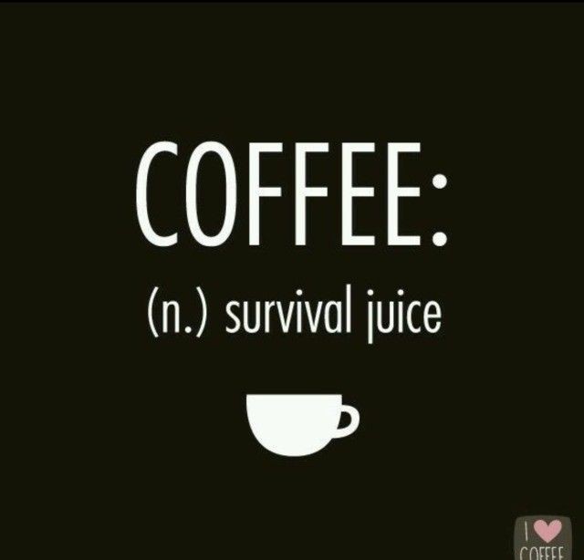 Christo46268316's tweet image. Yuppers, just SAYING!!!!!! #SimpleKindOfManCoffee
#VersaceSS25
#ReaganRules