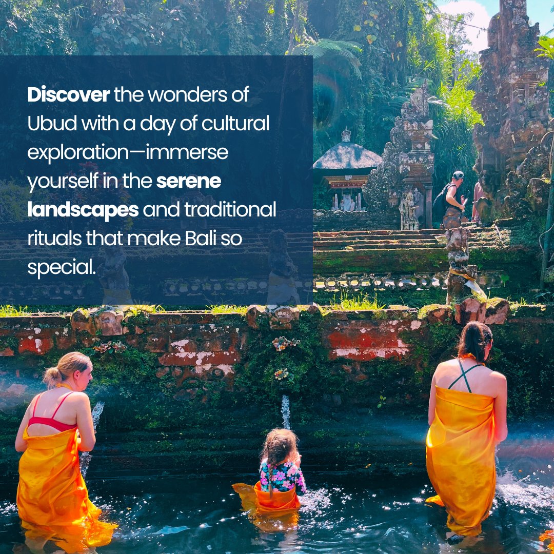 Boundless Life tweet media