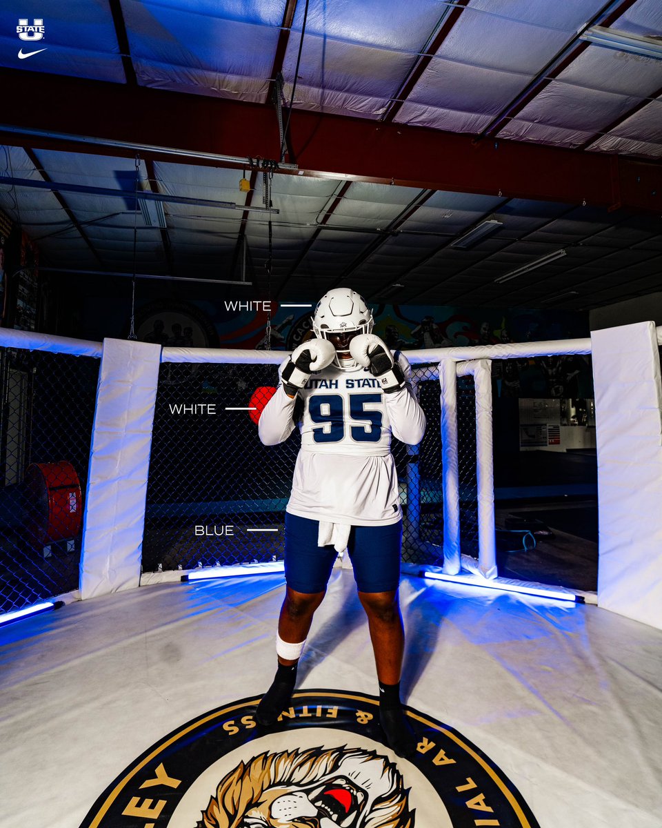 USU Football tweet media