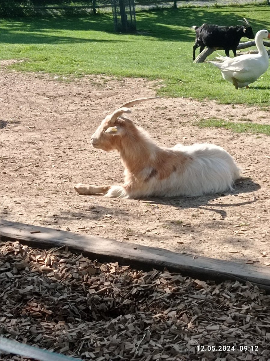 Artur Preisner (@arturpreisner) on Twitter photo 