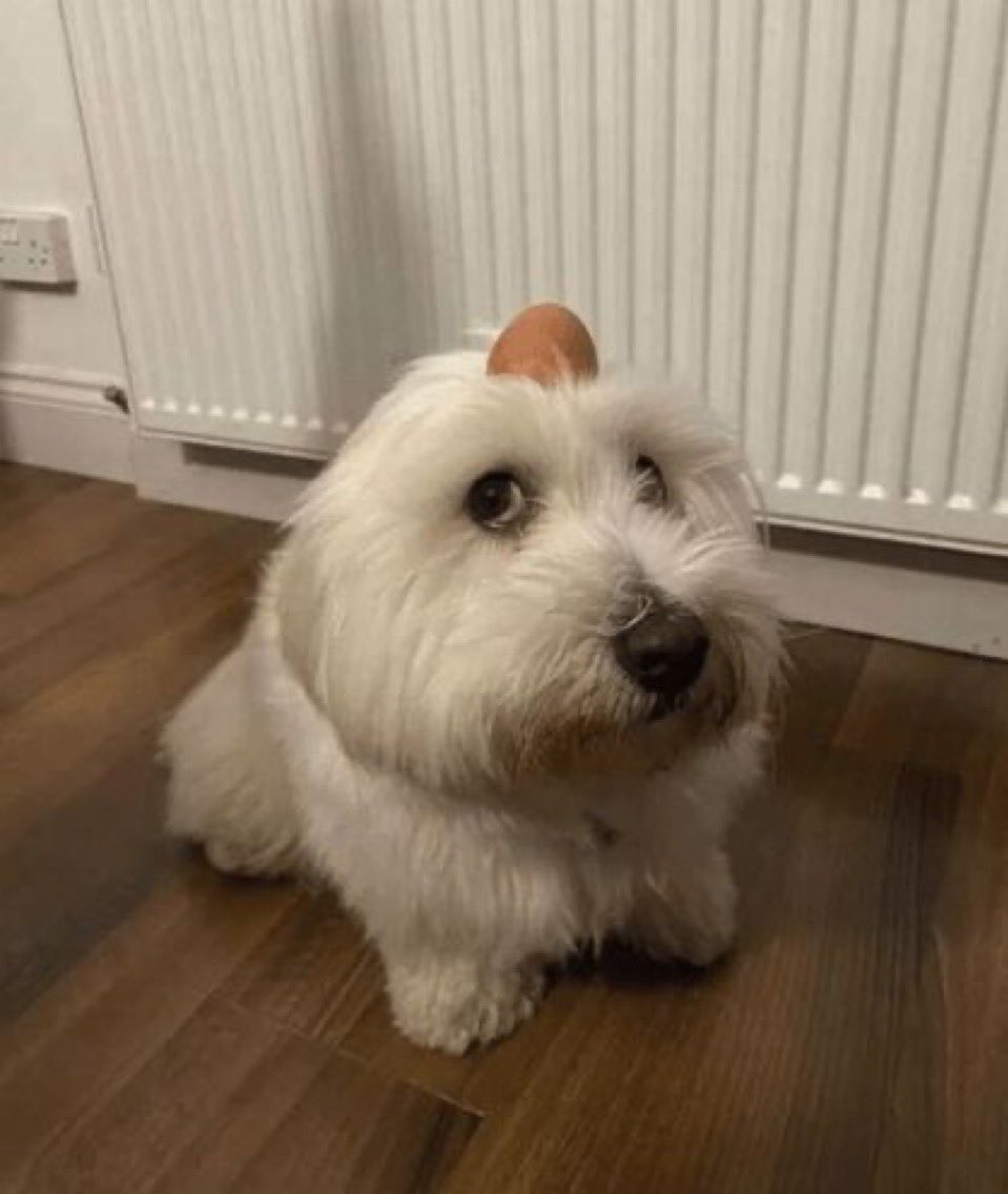 i’m gonna #jump in front of all 200 of you and ruin your life