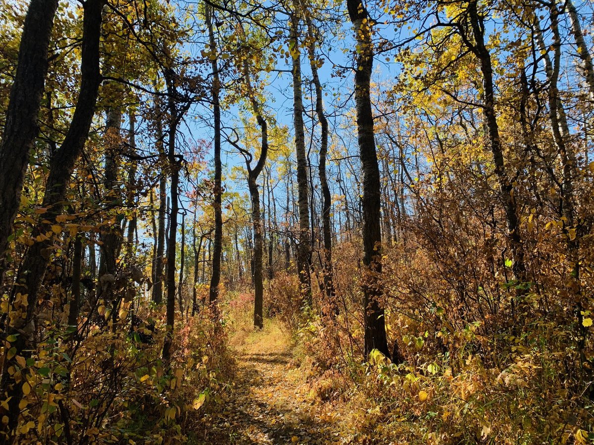 Ellis Nature Centre tweet media