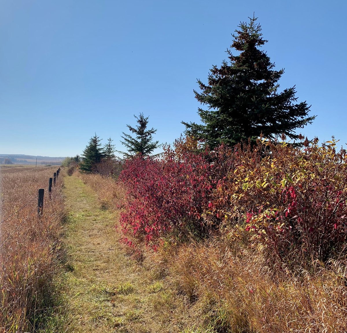 Happy first day of fall everyone! We've loved seeing the hues of fall come alive on our site so far this season. A reminder that our last day for the 2024 season is Oct 15, so make sure to plan a visit &amp; experience our site during the fall season before then!