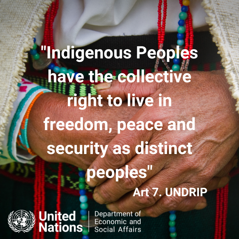UN4Indigenous's tweet photo. Tomorrow is International Day of Peace!
Art7 of the #UNDRIP states that "#IndigenousPeoples have the collective right to live in freedom, peace and security as distinct peoples" #PeaceDay #WeAreIndigenous https://t.co/xwyaNOReH9