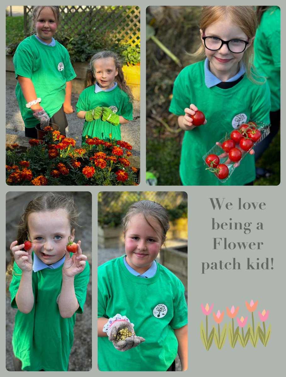 We LOVE being a flower patch kid! 
The children had SO much fun tonight and the time really does just fly by! You all did an amazing job today! We couldn’t do it without you! 💚<a href="/KingswoodParksP/">Kingswood Parks Primary School</a> <a href="/MissWalker_KWP/">Miss Walker</a> <a href="/MissClayKWP/">MissClayKWP</a>